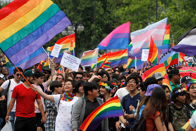 Movilh anuncia marchas por matrimonio igualitario para este 14 de febrero -  Mi Valdivia